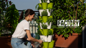 Factory | L'agricoltura verticale in ufficio e a casa